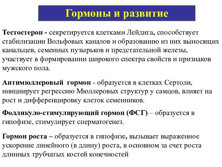 Гормоны и развитиеТестостерон - секретируется клетками Лейдига, способствует стабилизации Вольфовых каналов и