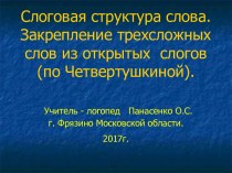 Слоговая структура слова. Закрепление трехсложных слов из открытых слогов (по Четвертушкиной)