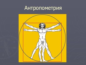 Антропометрия, измерение основных физических показателей человека