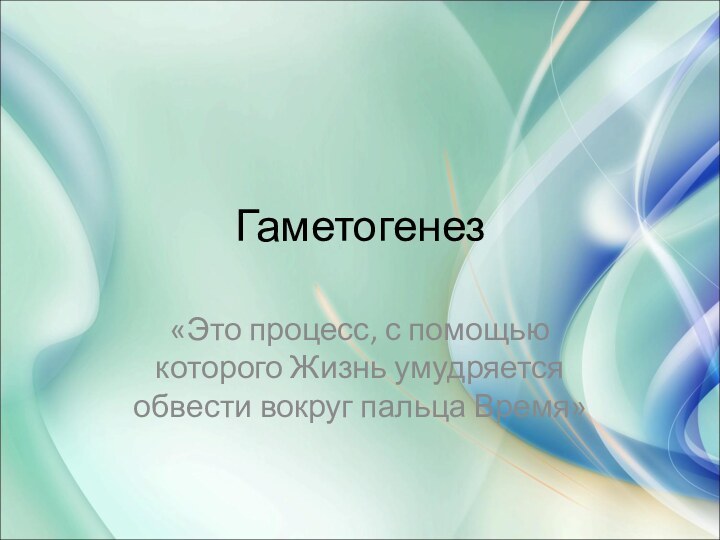 Гаметогенез «Это процесс, с помощью которого Жизнь умудряется обвести вокруг пальца Время»