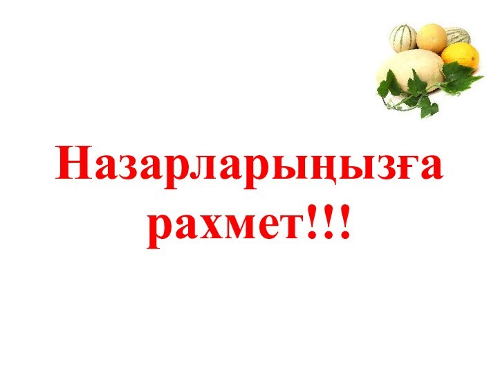 Назарларыңызға рахмет!!!