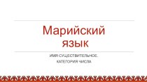 Марийский язык. Имя существительное. Категория числа