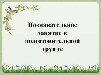 Познавательное занятие в подготовительной группе. Птицы