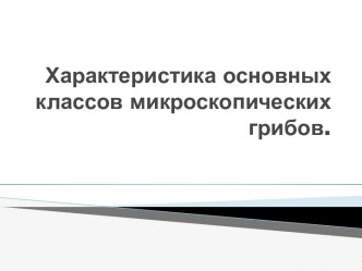 Характеристика основных классов микроскопических грибов