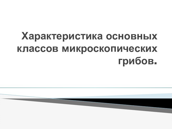 Характеристика основных классов микроскопических грибов.