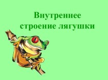 Внутреннее строение лягушки