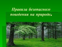 Правила безопасного поведения на природе