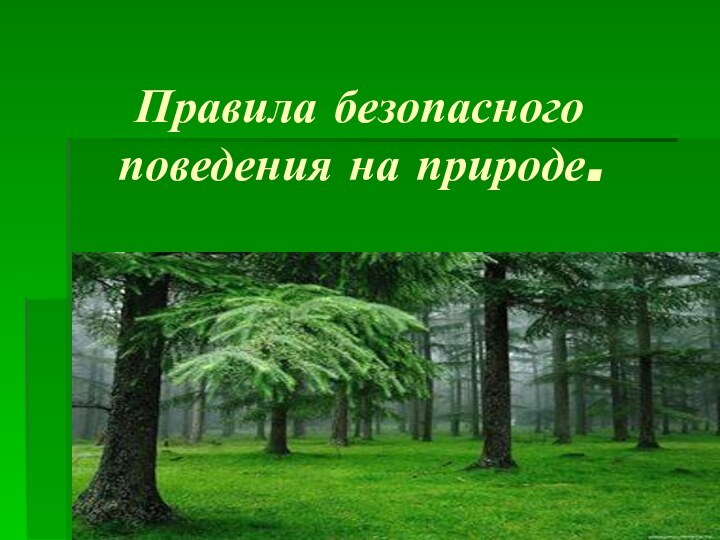 Правила безопасного поведения на природе.