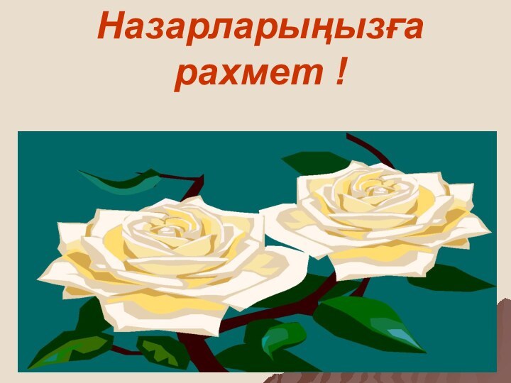 Назарларыңызға рахмет !