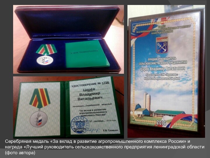 Серебряная медаль «За вклад в развитие агропромышленного комплекса России» и награда «Лучший