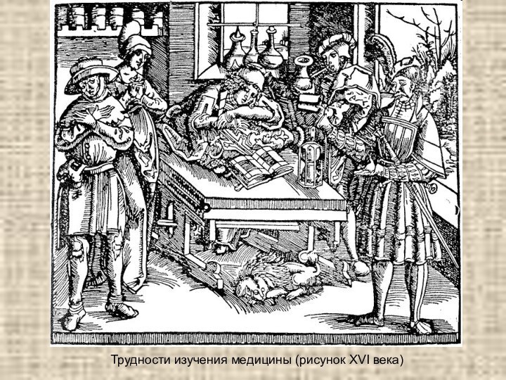 Трудности изучения медицины (рисунок XVI века)
