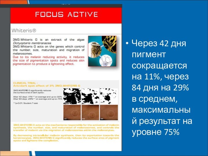 Через 42 дня пигмент сокращается на 11%, через 84 дня на 29%