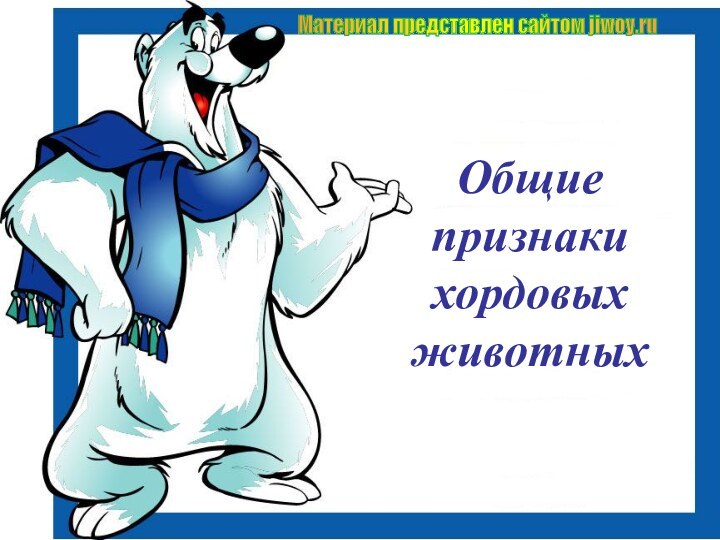 Общие признаки хордовых животныхМатериал представлен сайтом jiwoy.ru