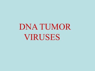 Dna tumor viruses