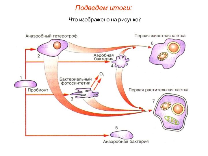 Что изображено на рисунке?Подведем итоги: