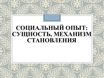 Социальный опыт: сущность, механизм становления