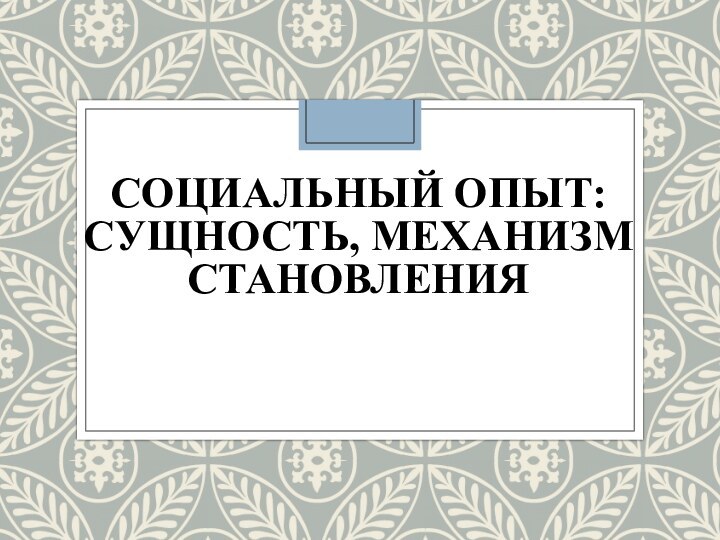 СОЦИАЛЬНЫЙ ОПЫТ: СУЩНОСТЬ, МЕХАНИЗМ СТАНОВЛЕНИЯ