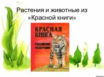 Растения и животные из красной книги