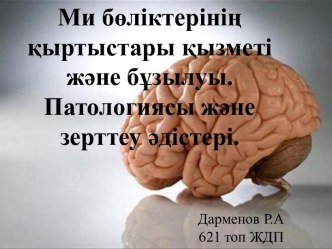 Ми бөліктерінің қыртыстары қызметі және бұзылуы. Патологиясы және зерттеу әдістері