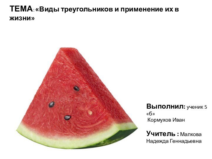 ТЕМА: «Виды треугольников и применение их в жизни»Выполнил: ученик 5 «б» Кормухов