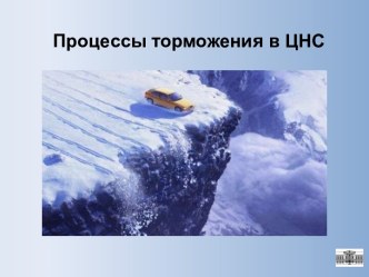 Процессы торможения в ЦНС