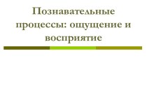 Познавательные процессы: ощущение и восприятие