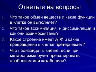 Биосинтез белка