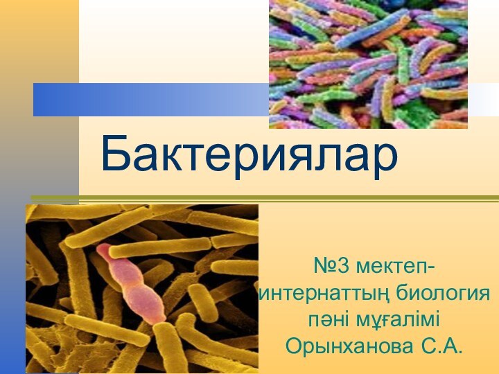 Бактериялар№3 мектеп-интернаттың биология пәні мұғалімі Орынханова С.А.