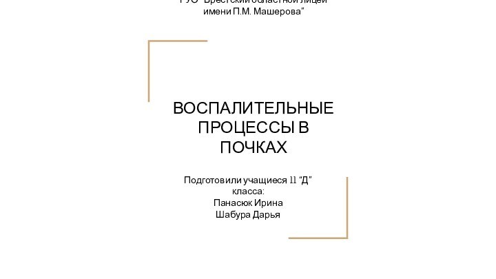 ГУО “Брестский областной лицей имени П.М. Машерова” ВОСПАЛИТЕЛЬНЫЕ ПРОЦЕССЫ В ПОЧКАХПодготовили учащиеся