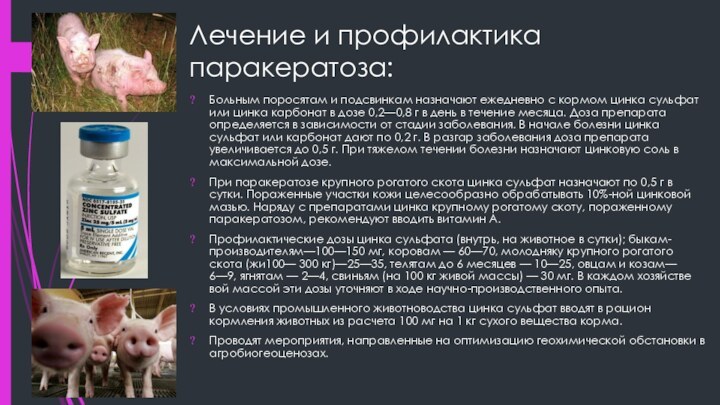 Лечение и профилактика паракератоза: Больным поросятам и подсвинкам назначают ежедневно с кормом