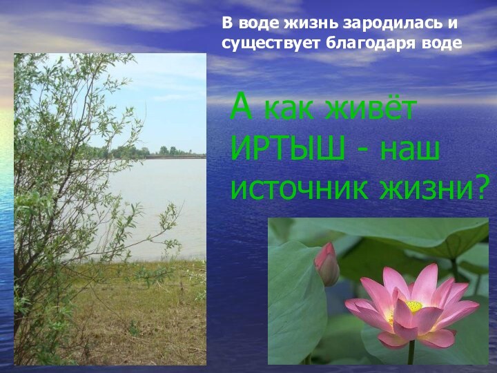 А как живёт ИРТЫШ - наш источник жизни?В воде жизнь зародилась и существует благодаря воде