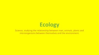 Ecology. Modern Nature