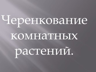 Черенкование комнатных растений