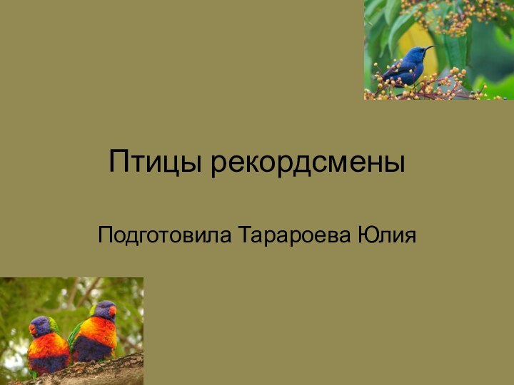 Птицы рекордсменыПодготовила Тарароева Юлия