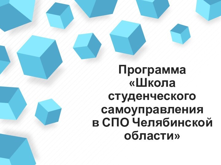 Программа «Школа студенческого самоуправления в СПО Челябинской области»