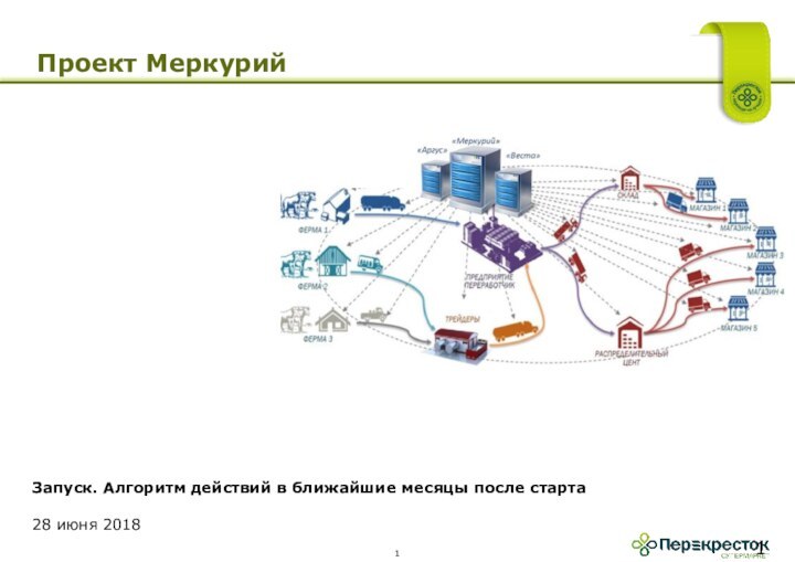 Проект МеркурийЗапуск. Алгоритм действий в ближайшие месяцы после старта28 июня 2018