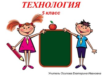 Учебный творческий проект по технологии. (5 класс)