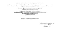 Программы и методики социологических исследований. Отчёт по производственной практике