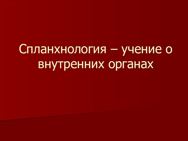 Спланхнология – учение о внутренних органах