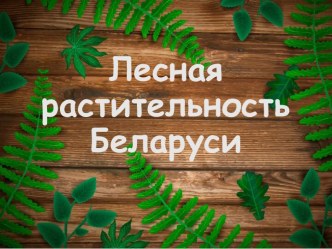 Лесная растительность Беларуси
