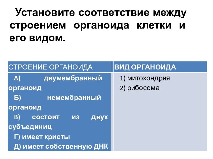 Установите соответствие между строением органоида клетки и его видом. 