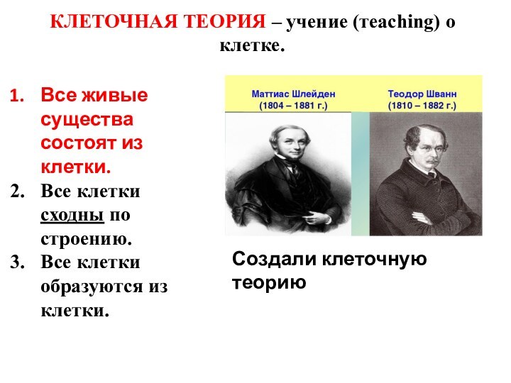 КЛЕТОЧНАЯ ТЕОРИЯ – учение (тeaching) о клетке. Создали клеточную теориюВсе живые существа