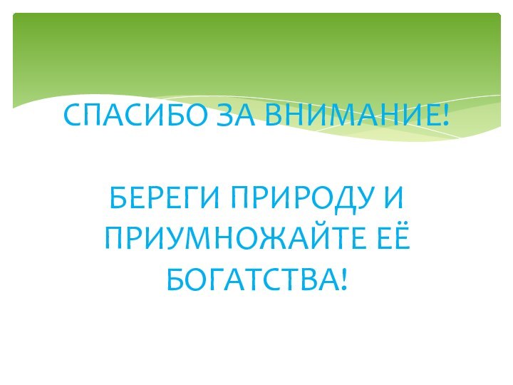 СПАСИБО ЗА ВНИМАНИЕ!  БЕРЕГИ ПРИРОДУ И ПРИУМНОЖАЙТЕ ЕЁ БОГАТСТВА!