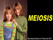 Meiosis