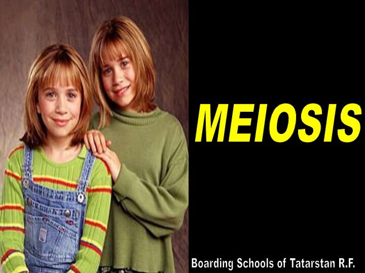 MEIOSISBoarding Schools of Tatarstan R.F.