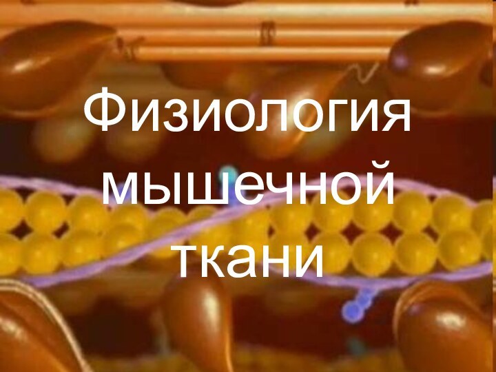 Физиология мышечной ткани