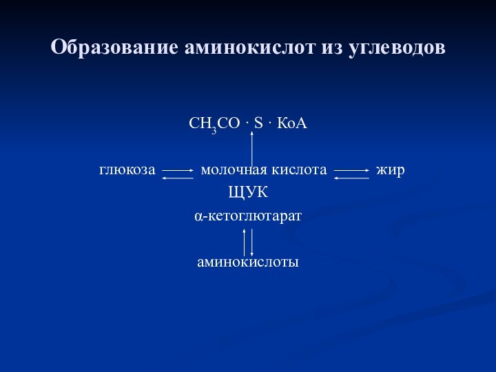 Образование аминокислот из углеводовСН3СО · S · КоА глюкоза