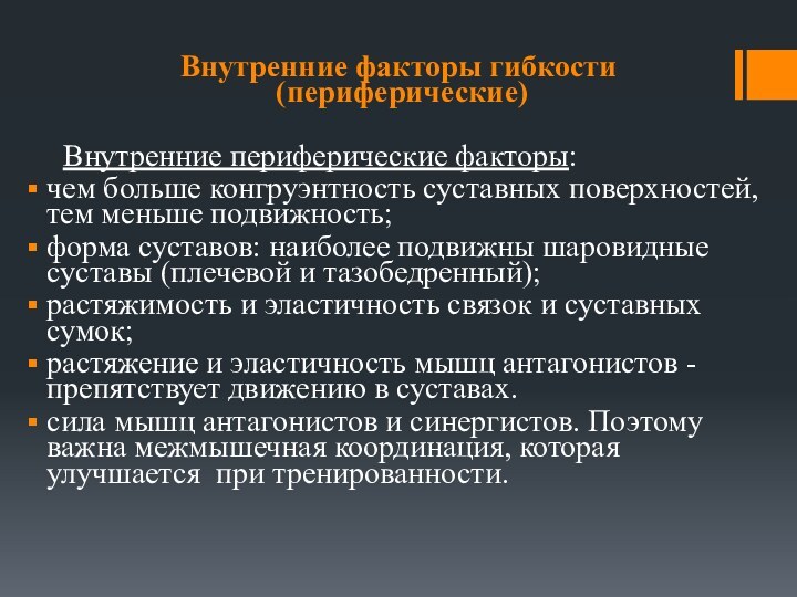 Внутренние факторы гибкости  (периферические)	Внутренние периферические факторы: чем больше конгруэнтность суставных поверхностей,