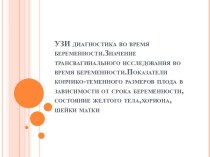 Узи диагностика во время беременности. Значение трансвагинального исследования во время беременности