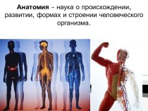 Анатомия – наука о происхождении, развитии, формах и строении человеческого организма